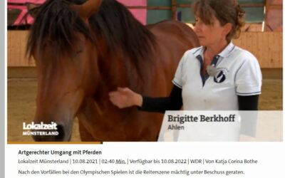 Artgerechter Umgang mit PferdenLokalzeit Münsterland 10.08.2021