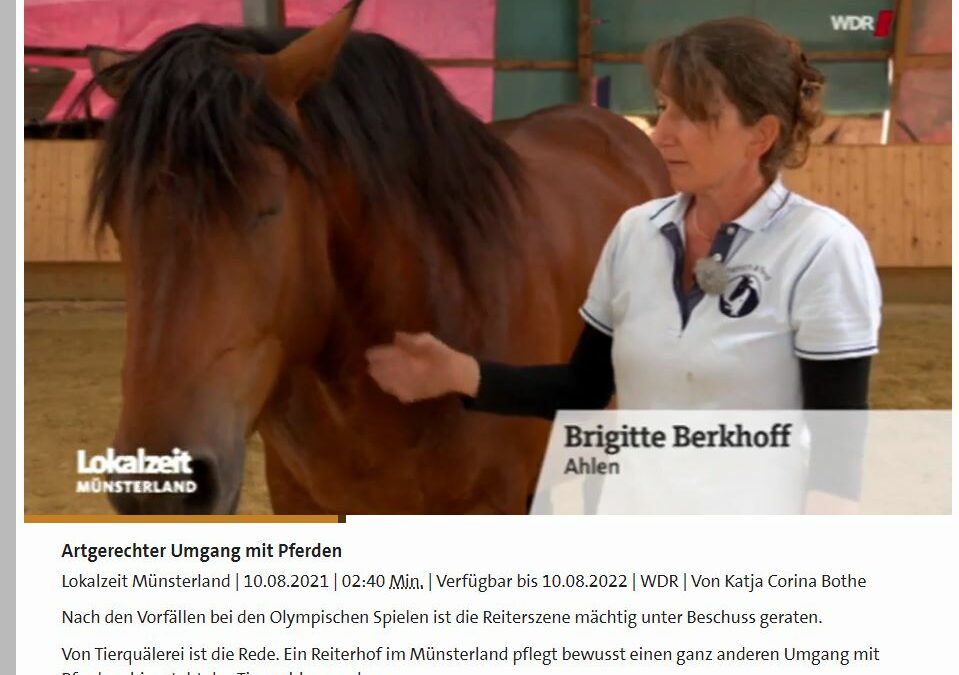 Artgerechter Umgang mit PferdenLokalzeit Münsterland 10.08.2021